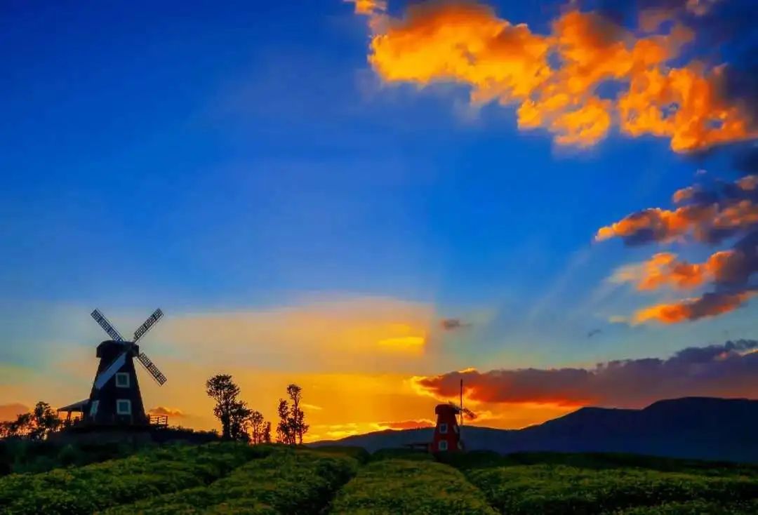 五一逛吃攻略必备,五一出游美食攻略