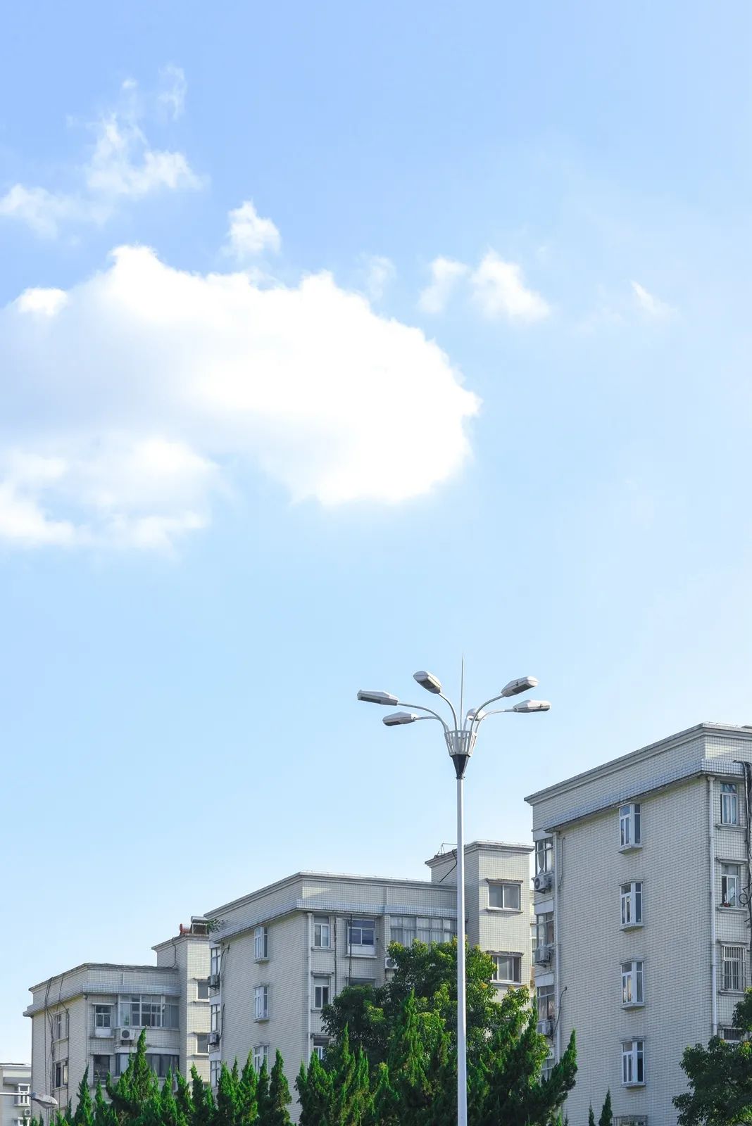 离开学校的第100天,离开校园的第100天