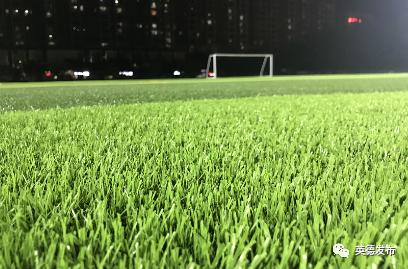 草坪足球场建设进展,最新足球场施工动态