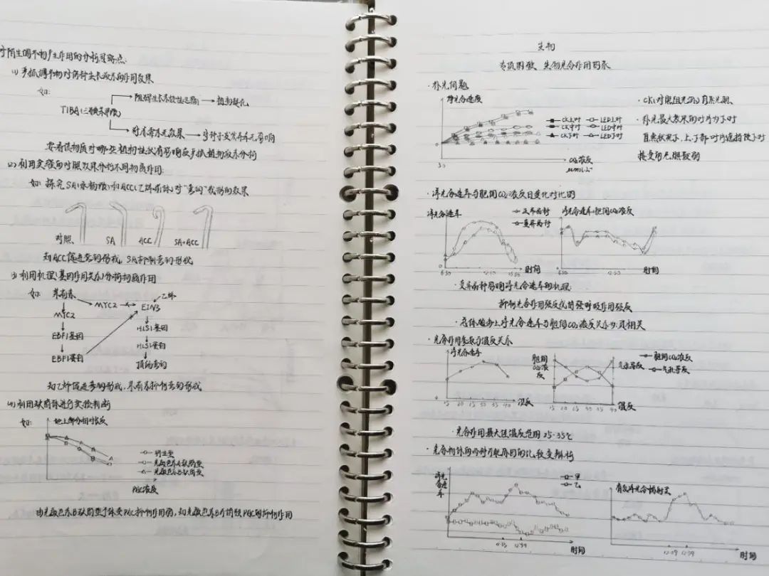 高考备考笔记本,高三一年用完了多少笔