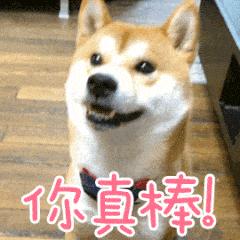 高考备考笔记本,高三一年用完了多少笔