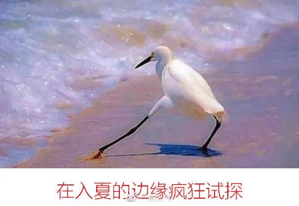 体内驱虫致癌案例,女子体内取出活虫原来吃了这道菜