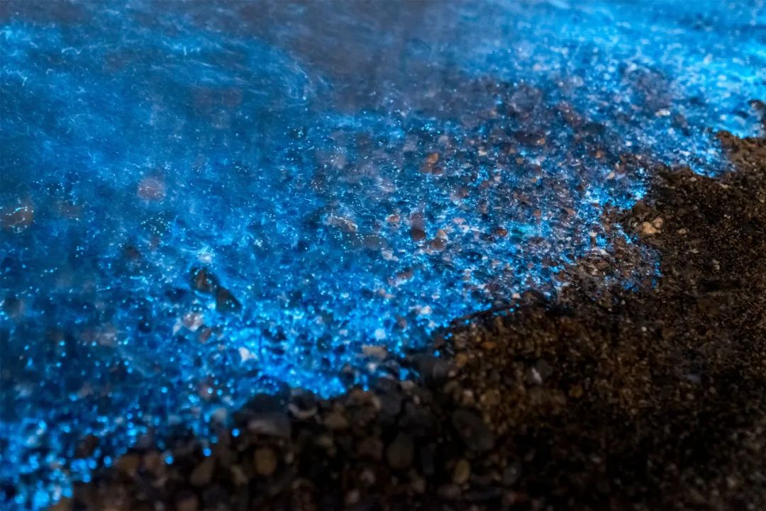 美过三亚！比厦门浪漫！中国这座海滨老城，去一次相当于环游世界