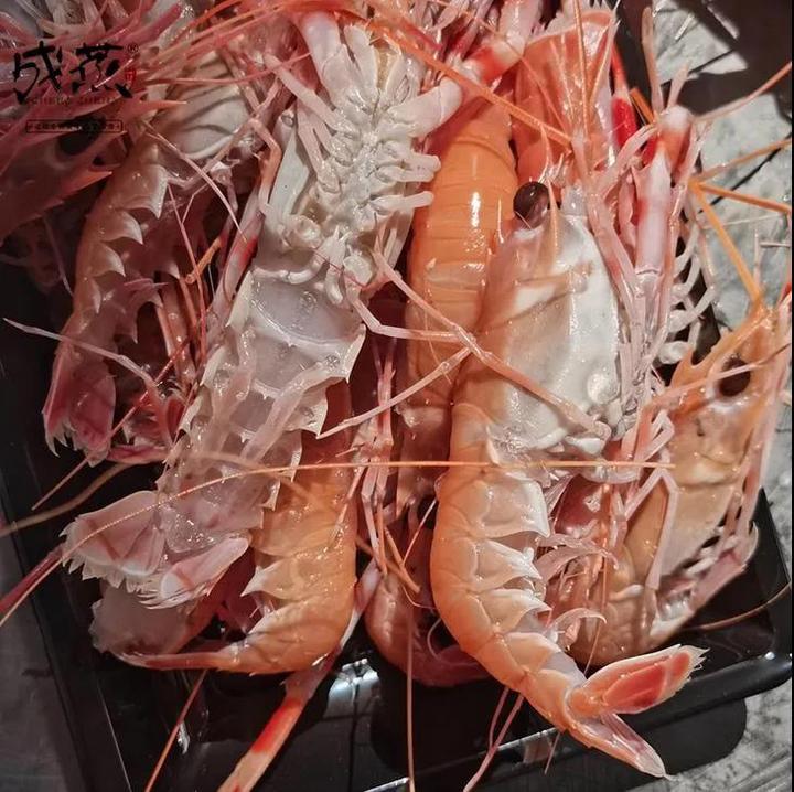 海边别墅海鲜推荐,199元海景房