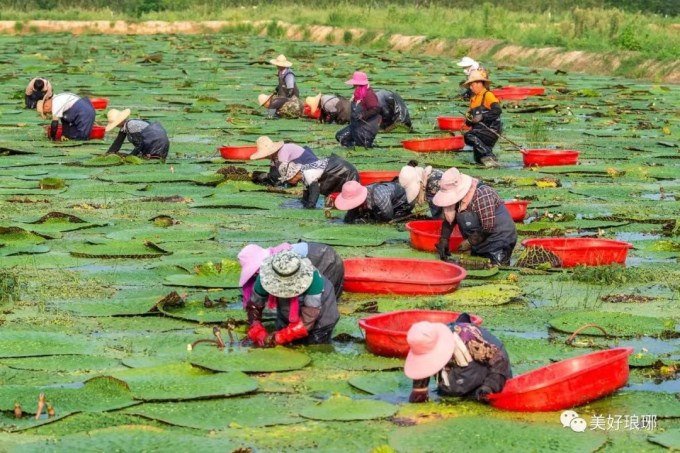 琅琊风景,大好山河风景航拍