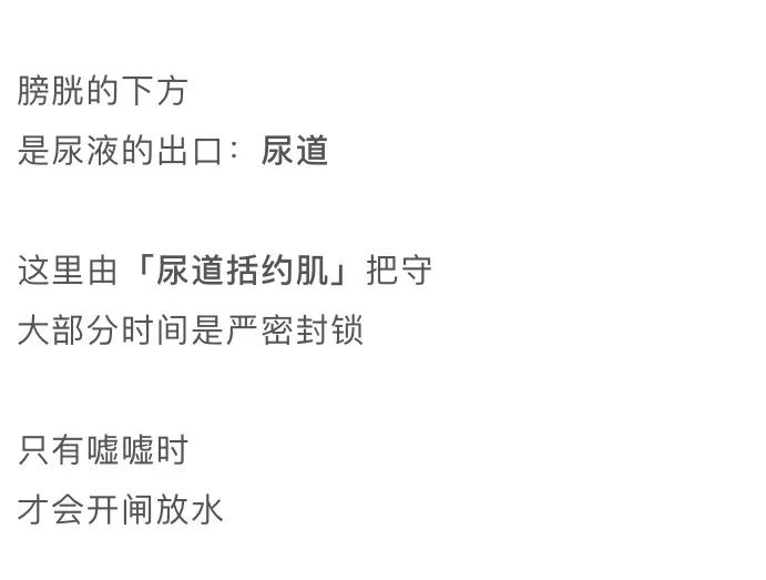 漫画科普：那些憋住的尿，最终都流向了哪里？