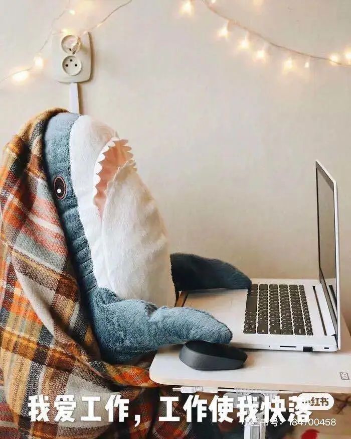 宜家好物推荐100元以下,宜家好物推荐第一集