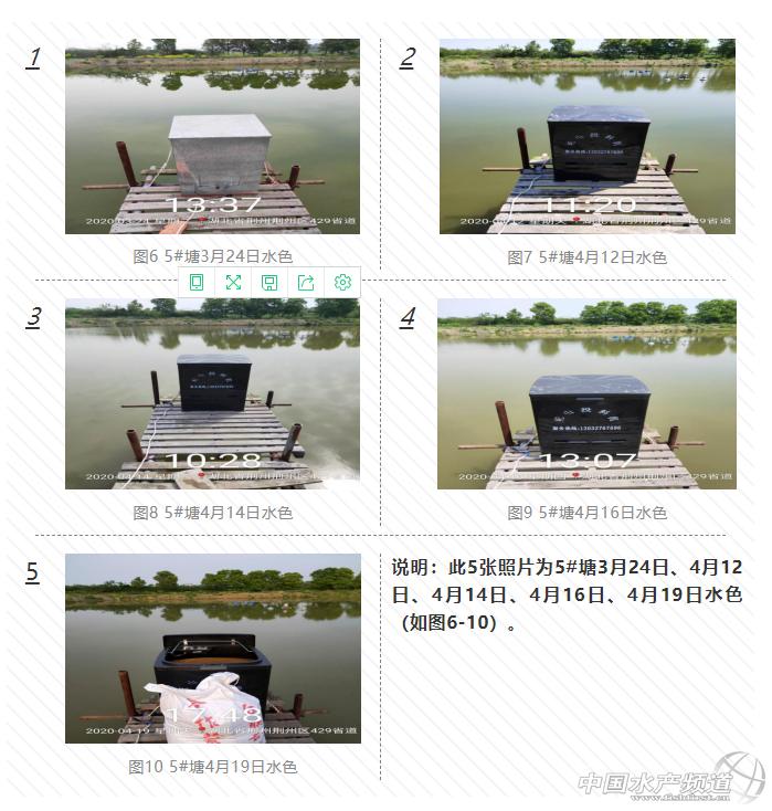 黄颡鱼爆发性死亡,黄颡鱼爆发性死亡怎么治疗