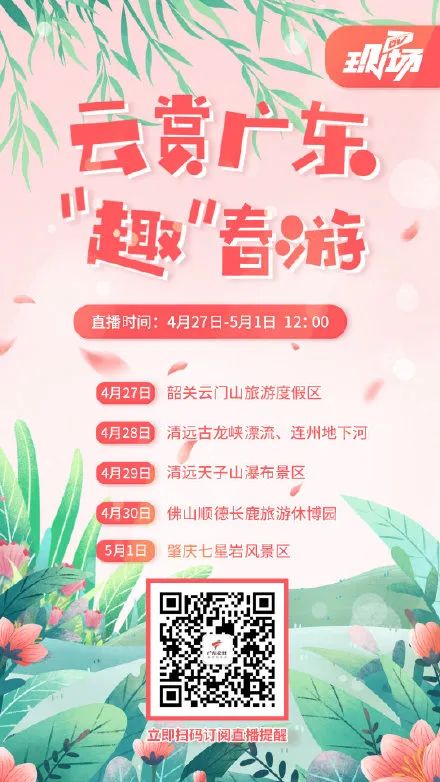 曲奇饼干的注意事项有哪些呢,曲奇饼干为什么会不成型