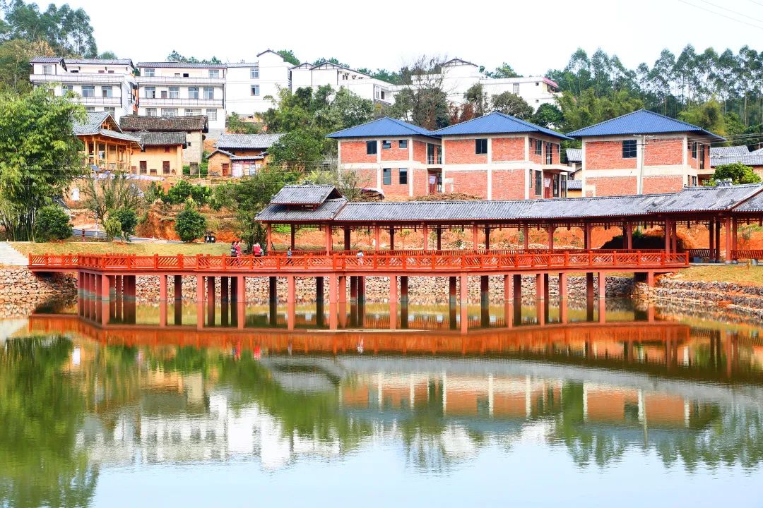 青秀区南阳镇古岳坡种植研学基地,南宁市青秀区南阳镇古岳坡