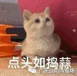 发了几条朋友圈共判赔80万,朋友圈发80万被判刑