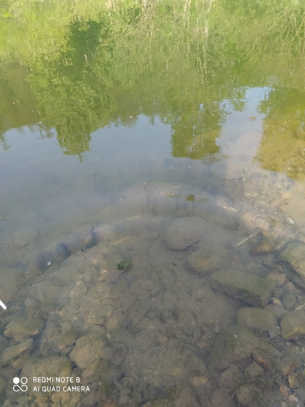 海竿串钩钓大鱼技巧和方法,海竿串钩怎么钓最灵活图解