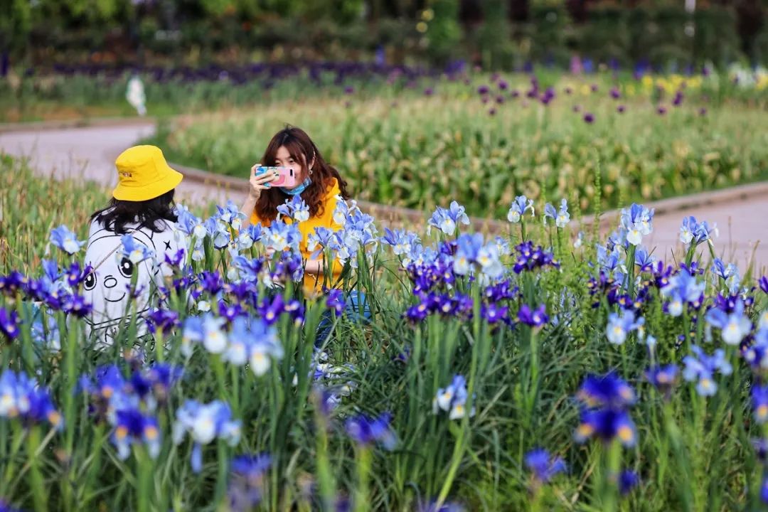 长沙周边踏春游玩最好去处,五一来长沙这些地方让你玩个够