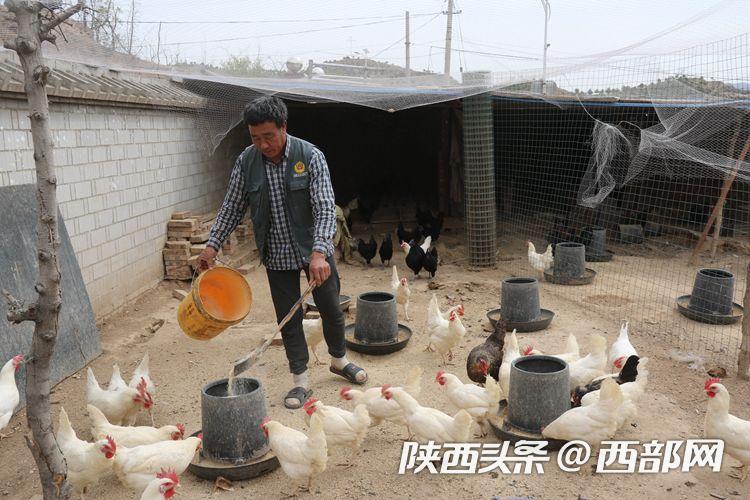 全村养驴致富路线,吴堡县南王家山村