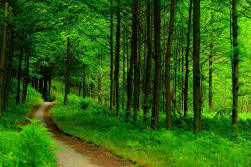 初刻拍案惊奇故事01,新拍案惊奇完整版