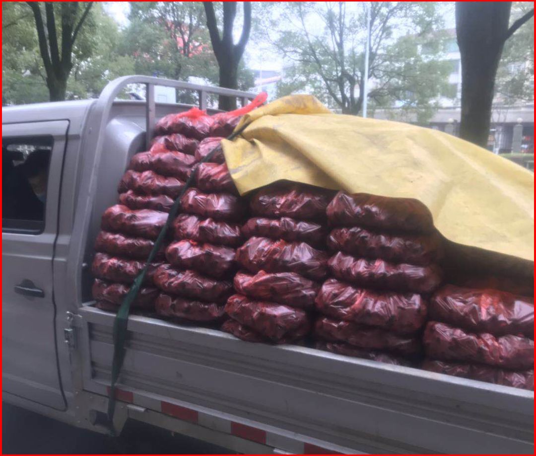 疫情防控财政,疫情防控体现国家力量