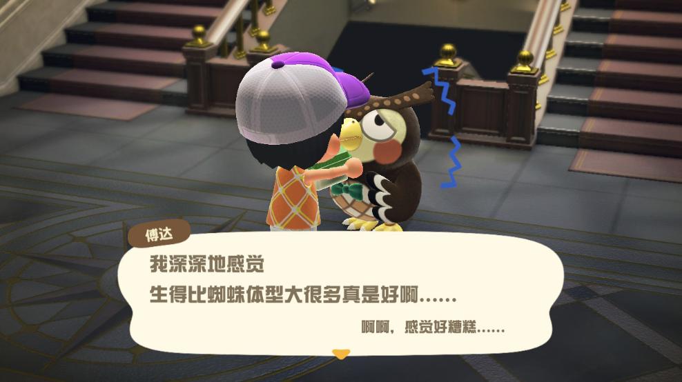 动物森友会玩些什么,动物森友会能2人用一个switch玩么