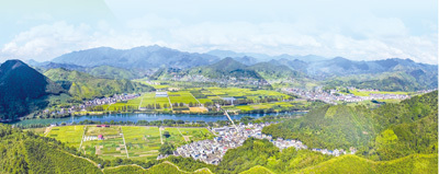 河北雄安新区端村镇千年秀林,雄安新区植树基地