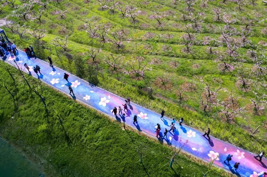 健身步道最新视频,健身走起跟着节奏嗨起来