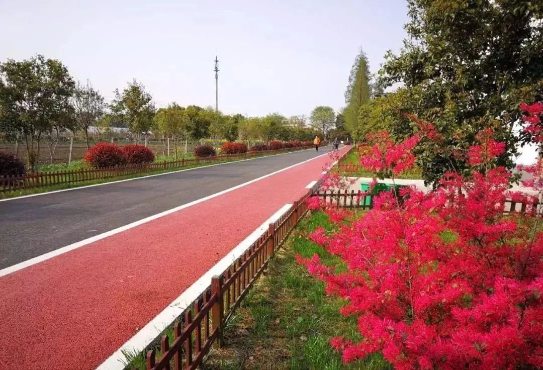 健身走起元气满满,健身走起跟着节奏嗨起来