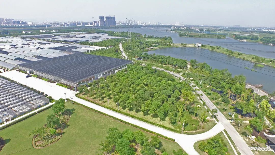 健身走起元气满满,健身走起跟着节奏嗨起来