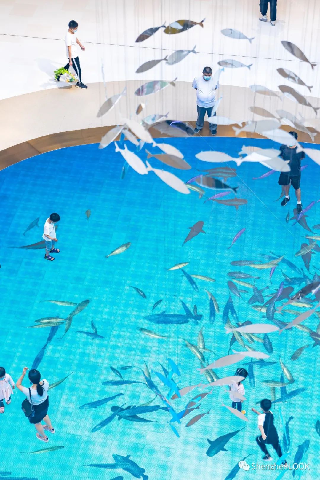 深圳地铁14号线最新消息 (深圳地铁14号线通车时间)