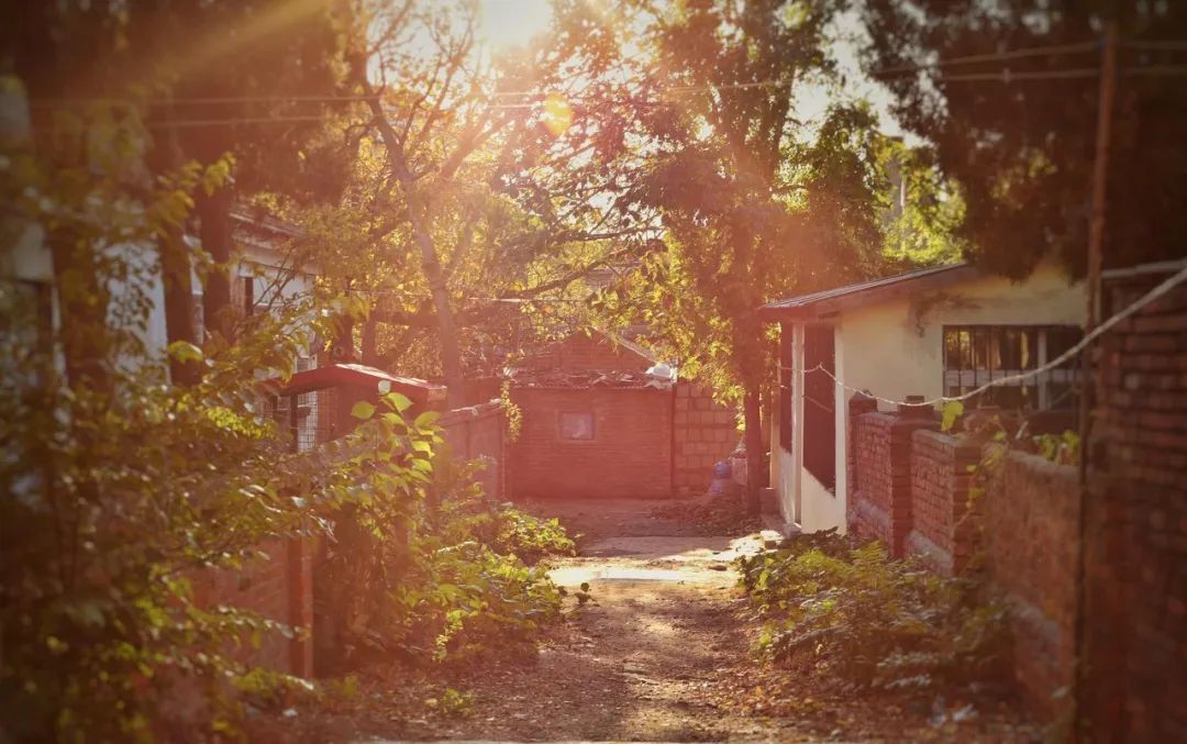 美过三亚！比厦门浪漫！中国这座海滨老城，去一次相当于环游世界