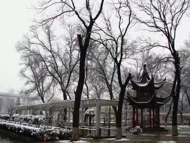 回忆我的母校三矿中学,三原南郊中学历史