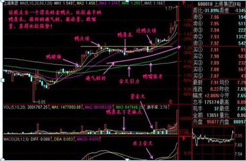 股市暗语1001,股市暗语99