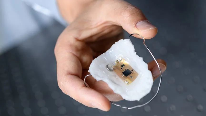 可喜！助力个体化营养的可穿戴设备渐入佳境