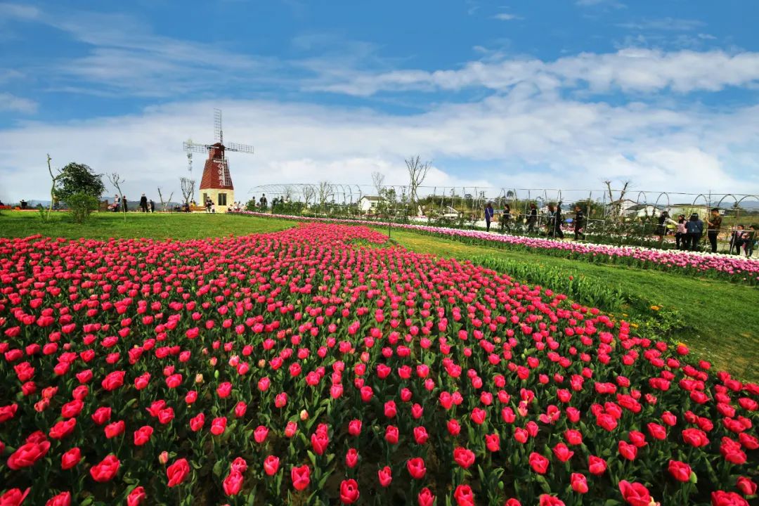 南充纳凉避暑玩水好去处,南充山里天然玩水凉快的地方