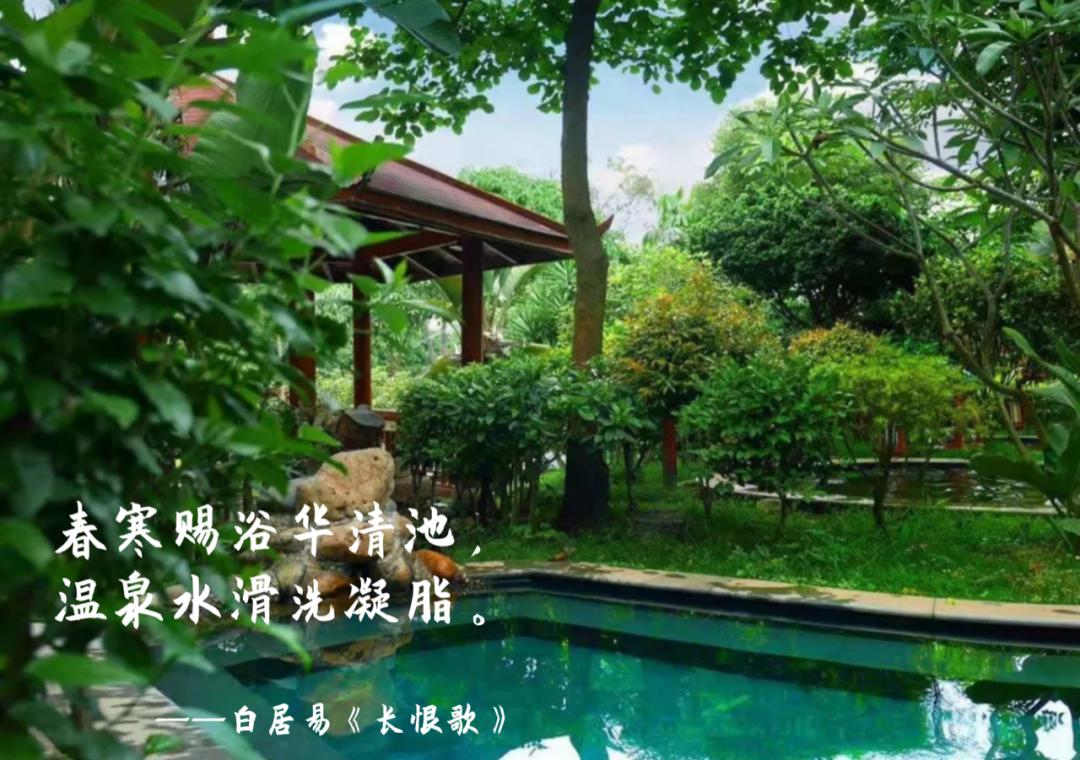 送温泉票!为什么那么多人想泡温泉?!厦门的这几家温泉胜地给你答案~