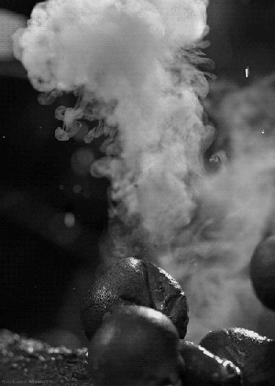 植物大战僵尸盘点那些奇葩的植物,植物大战僵尸最诡异的十大植物