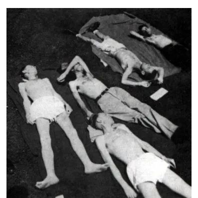 节食减肥饥荒效应,饥饿试验节食减肥后遗症