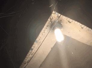 太多多多……了！最近很多人被吓得不敢开灯，只因它们又来“空袭”