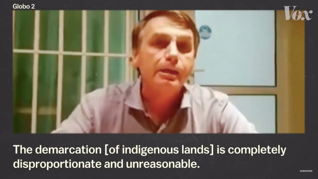 三个月砍掉20个曼哈顿,一年砍掉一个国家,亚马逊已经到了最危急的时候