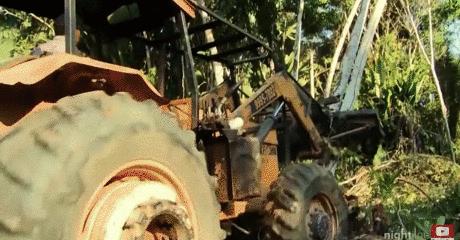 三个月砍掉20个曼哈顿，一年砍掉一个国家，亚马逊已经到了最危急的时候