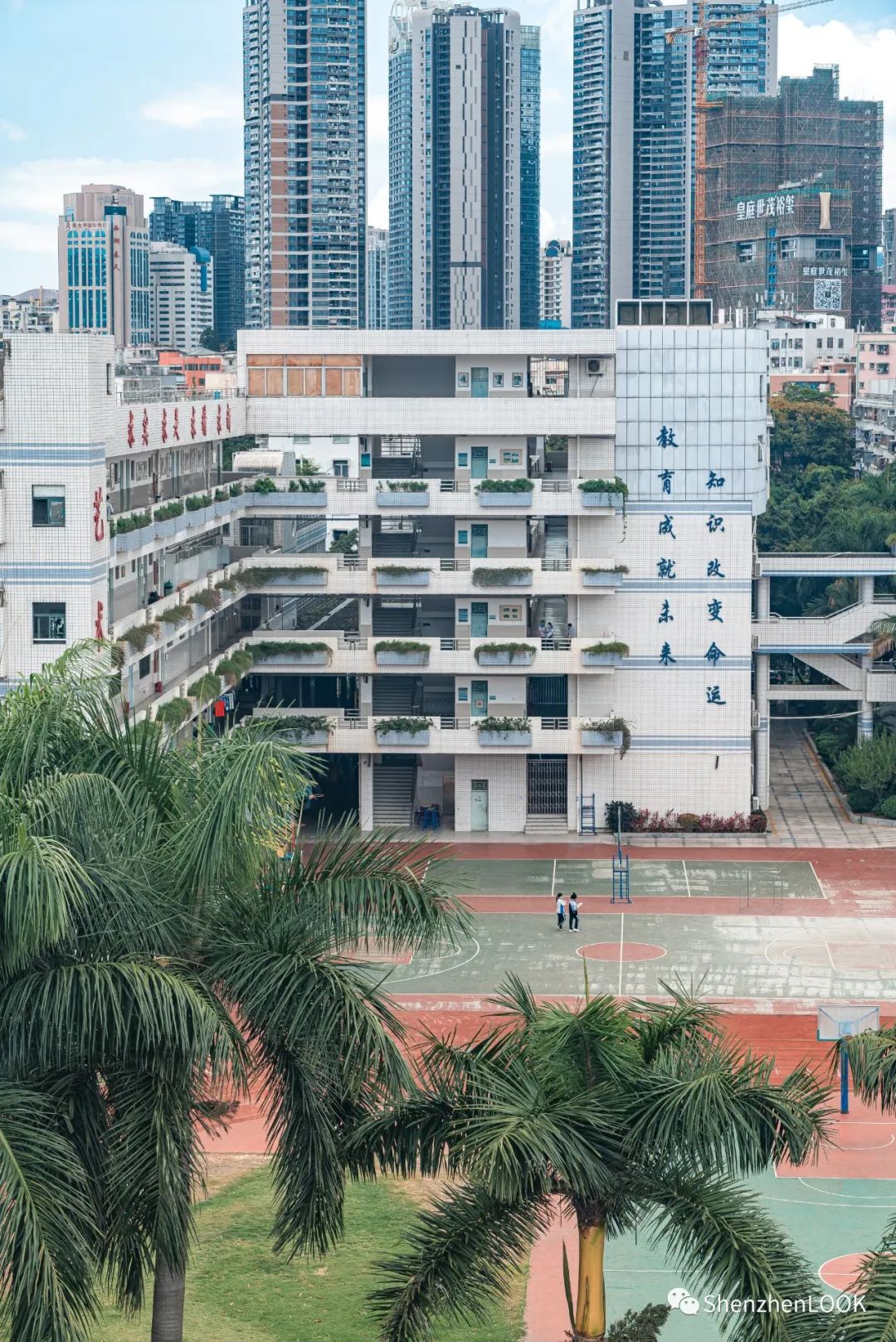 look这是什么牌子的包包,严浩翔说look这是tnt什么舞台