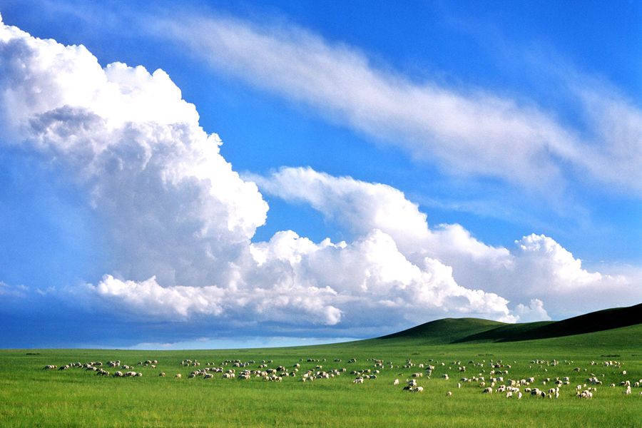 中国食谱中的内蒙古硬菜,内蒙古硬菜100道