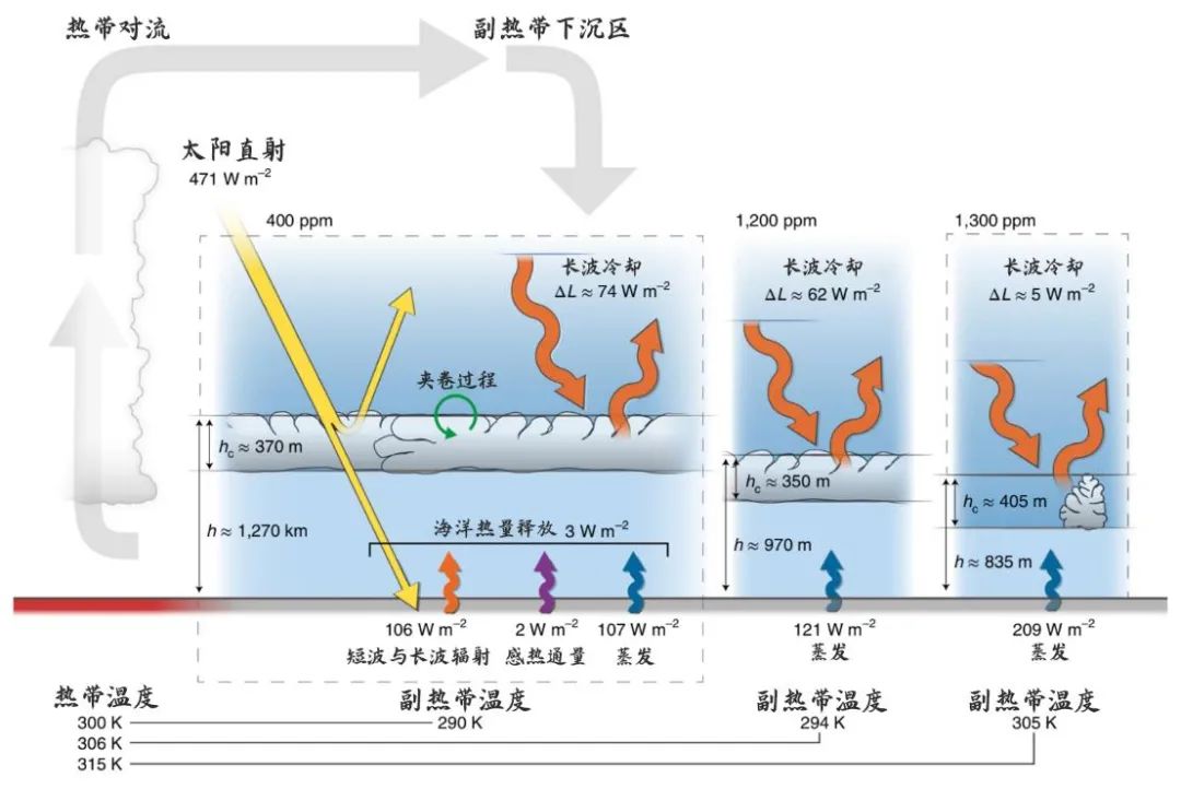 气象专家解析中东降雨,中东太平洋降水
