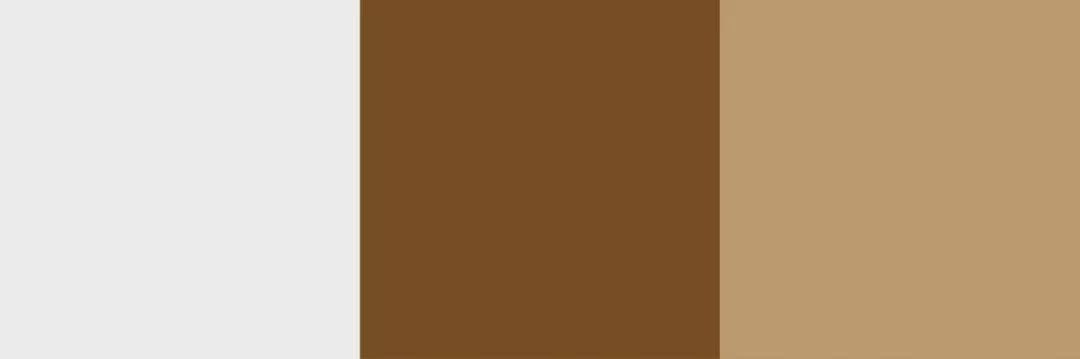 色彩趋势｜2020十大流行色彩趋势与搭配指南