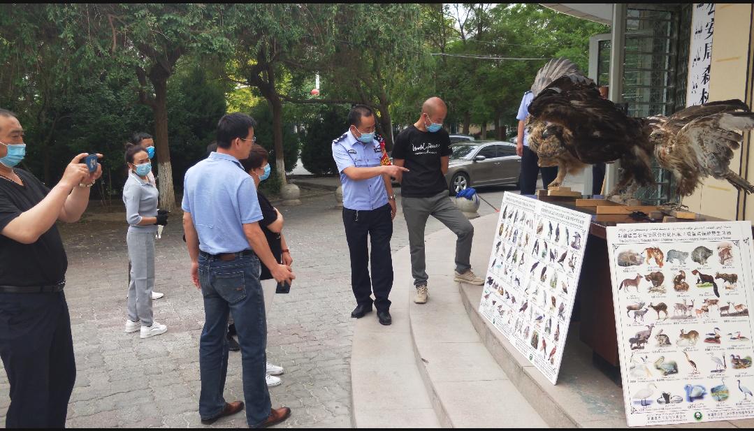 保护野生动物青海森林公安在行动,保护野生动物执法力度