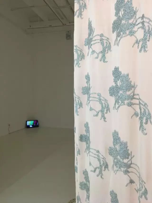 悼念肖雄：转换是一个轮回再生