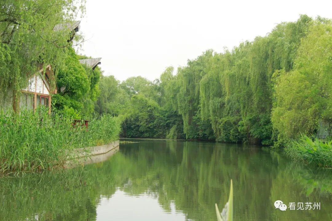 苏州森林里野奢树屋,苏州泡温泉度假的地方推荐