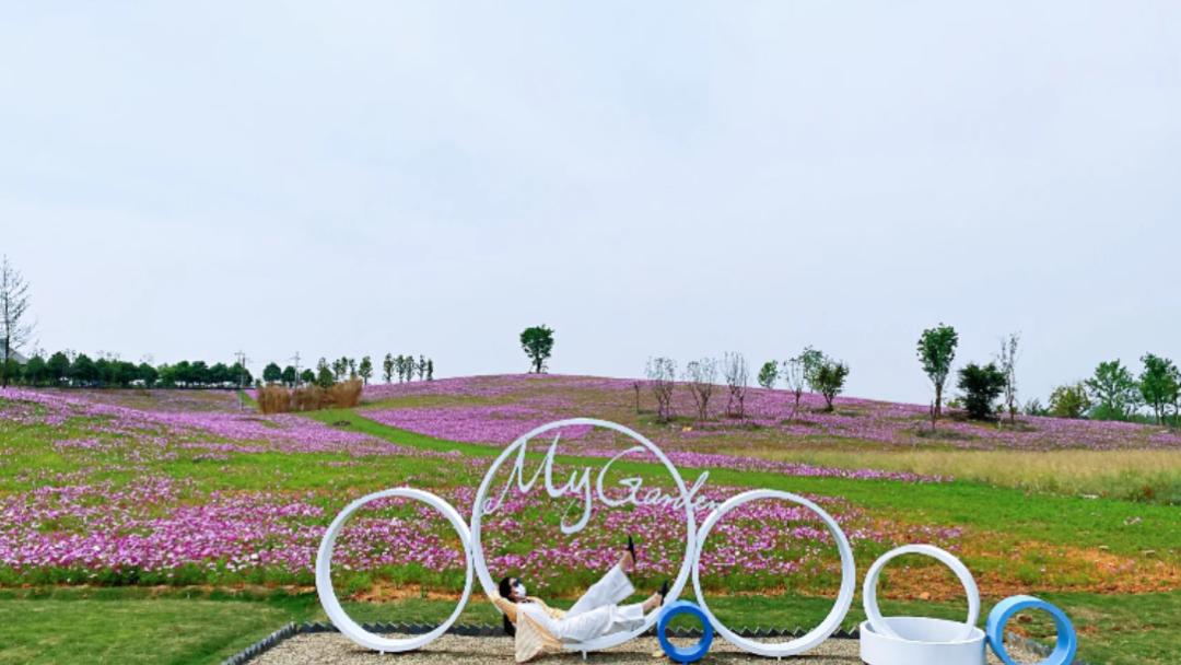 成都五个打卡地,成都5月打卡