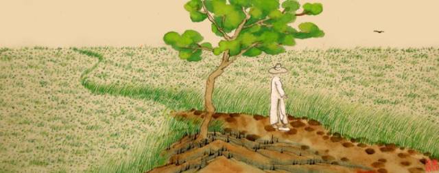 老树诗画里的夏天,老树画画中秋的诗