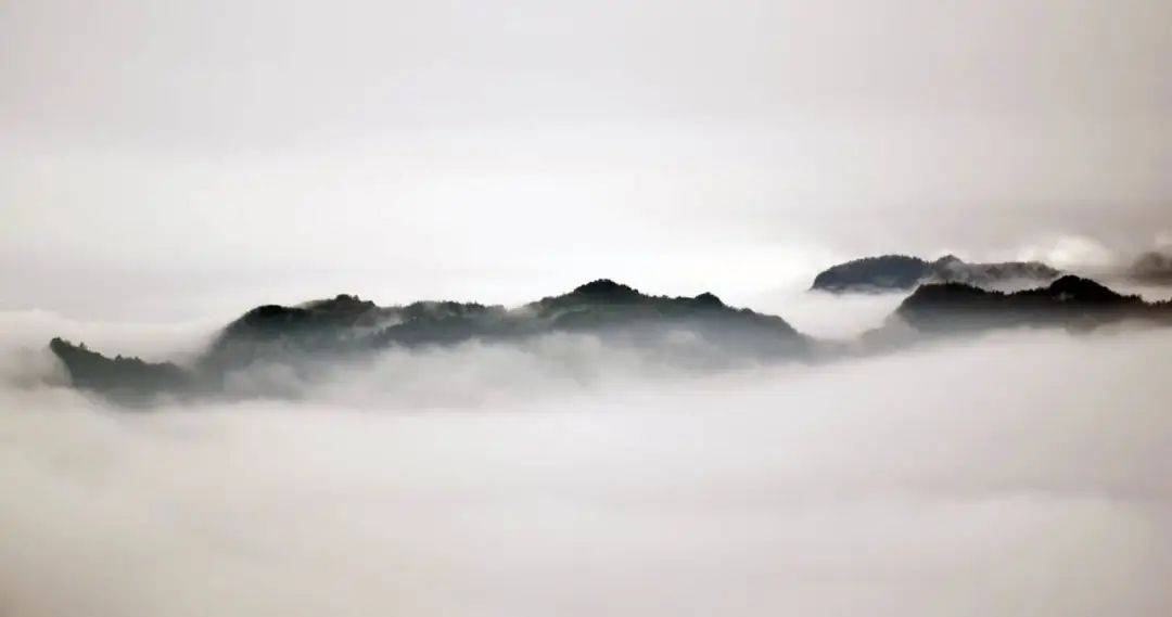 向往的生活带你体验乡间的路,向往的生活田园生活