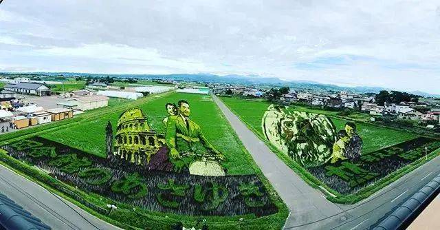 向往的生活带你体验乡间的路,向往的生活田园生活