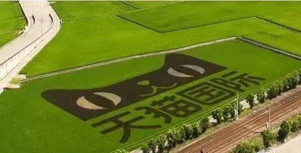 向往的生活带你体验乡间的路,向往的生活田园生活