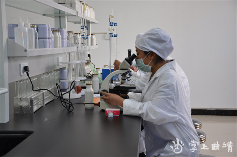 有机核桃乳是怎样炼成的,核桃乳的加工特点